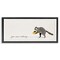 Stupell Industries You Saw Nothing Raccoon & Coffee Framed Floater Canvas Wall Art